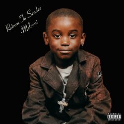 Cover of RETURN TO SENDER