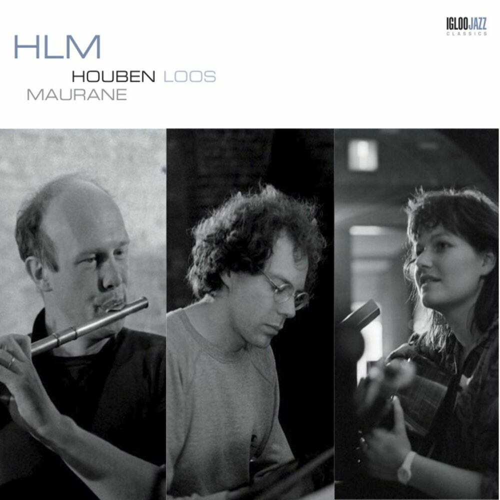 Picture of HLM (Version 2012)