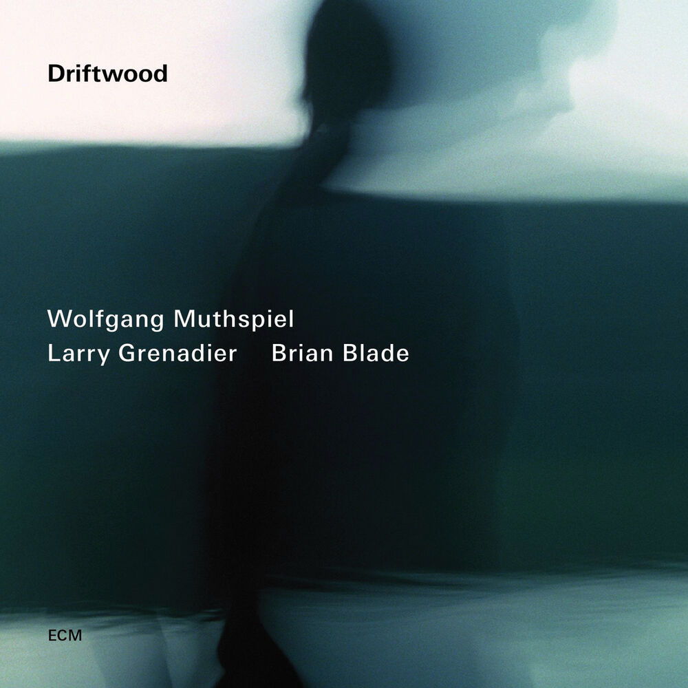Picture of Driftwood