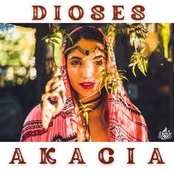 Cover of Dioses