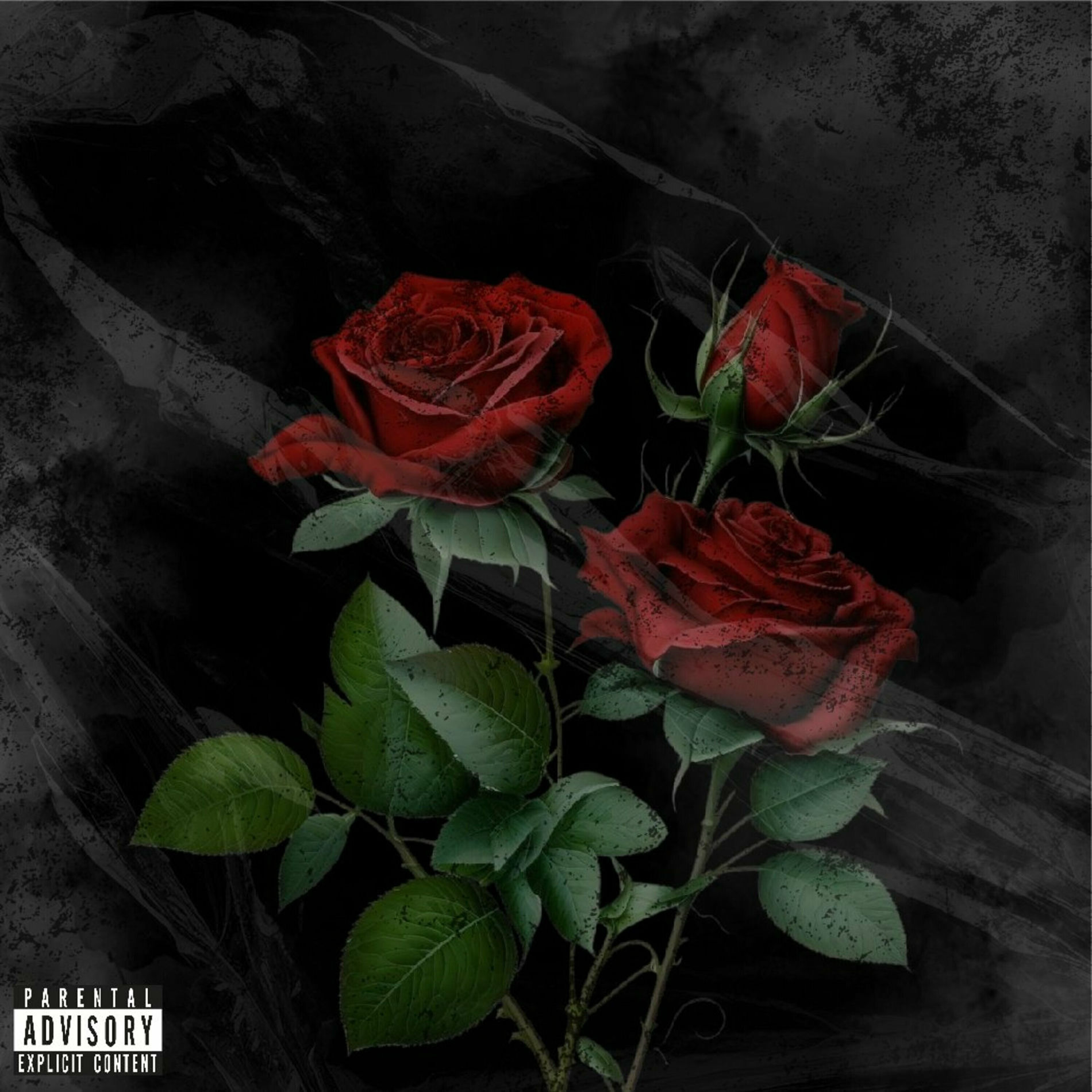 Album cover of 100 Roses