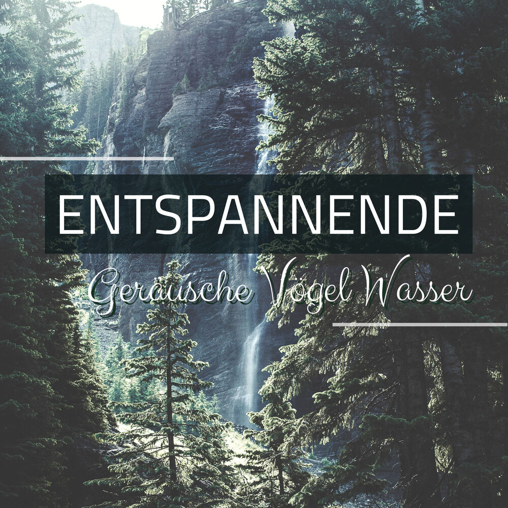 Picture of Entspannende Geräusche Vögel Wasser - Naturgeräusche Entspannung zum Einschlafen
