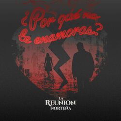Cover of ¿Por Qué No Te Enamoras?