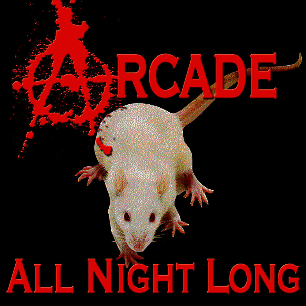 Picture of All Night Long