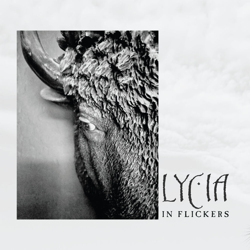Picture of In Flickers