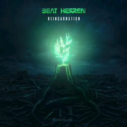 Cover of Reincarnation