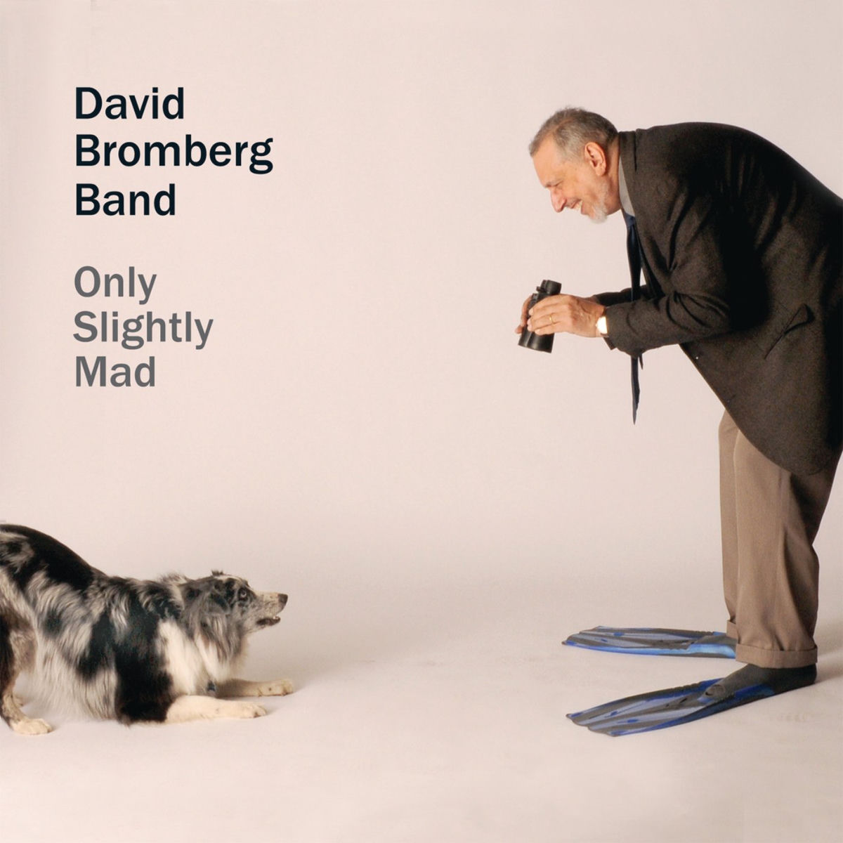 David Bromberg - World of Fools | Deezer