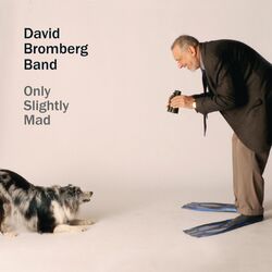 Cover of Only Slightly Mad
