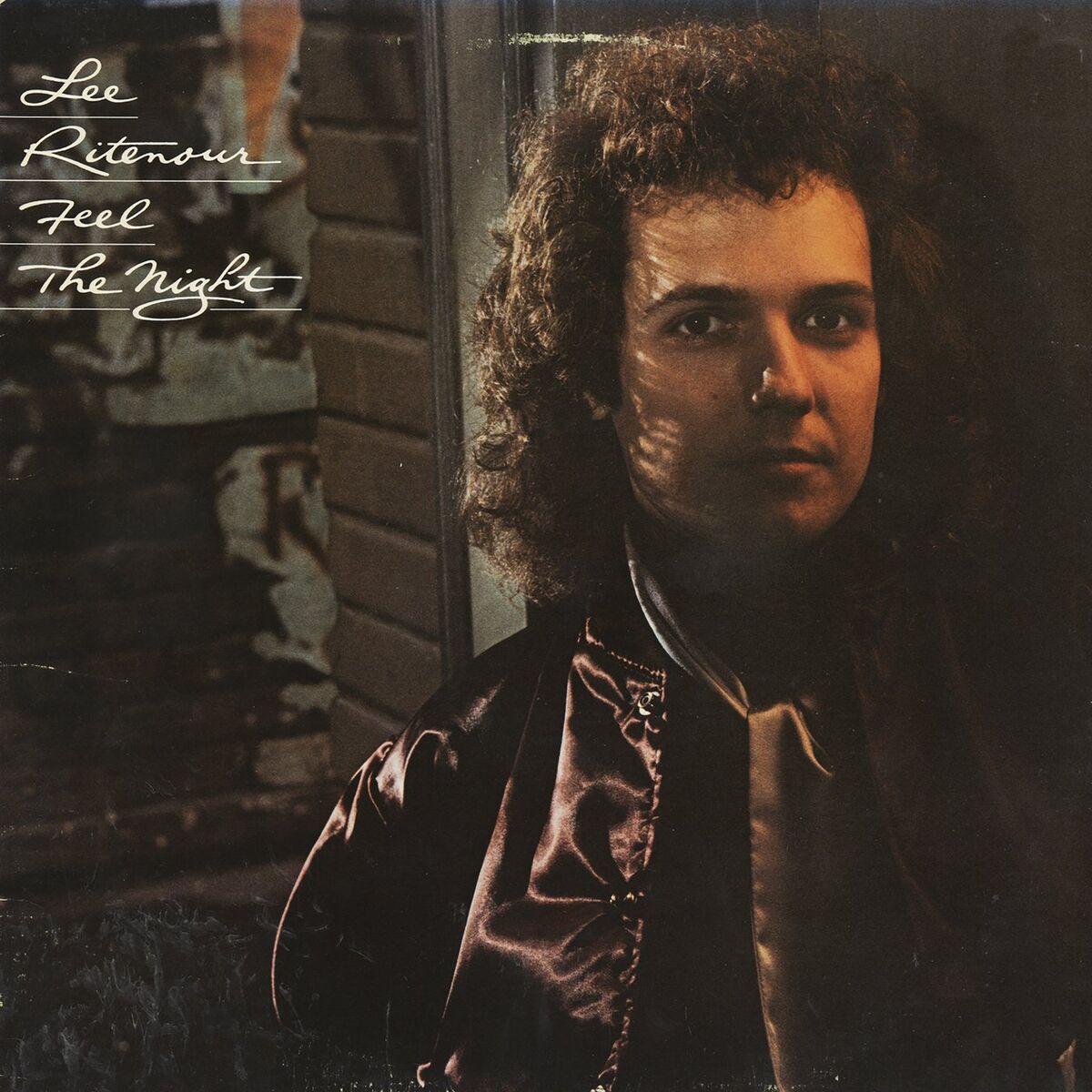 Album cover of Feel The Night