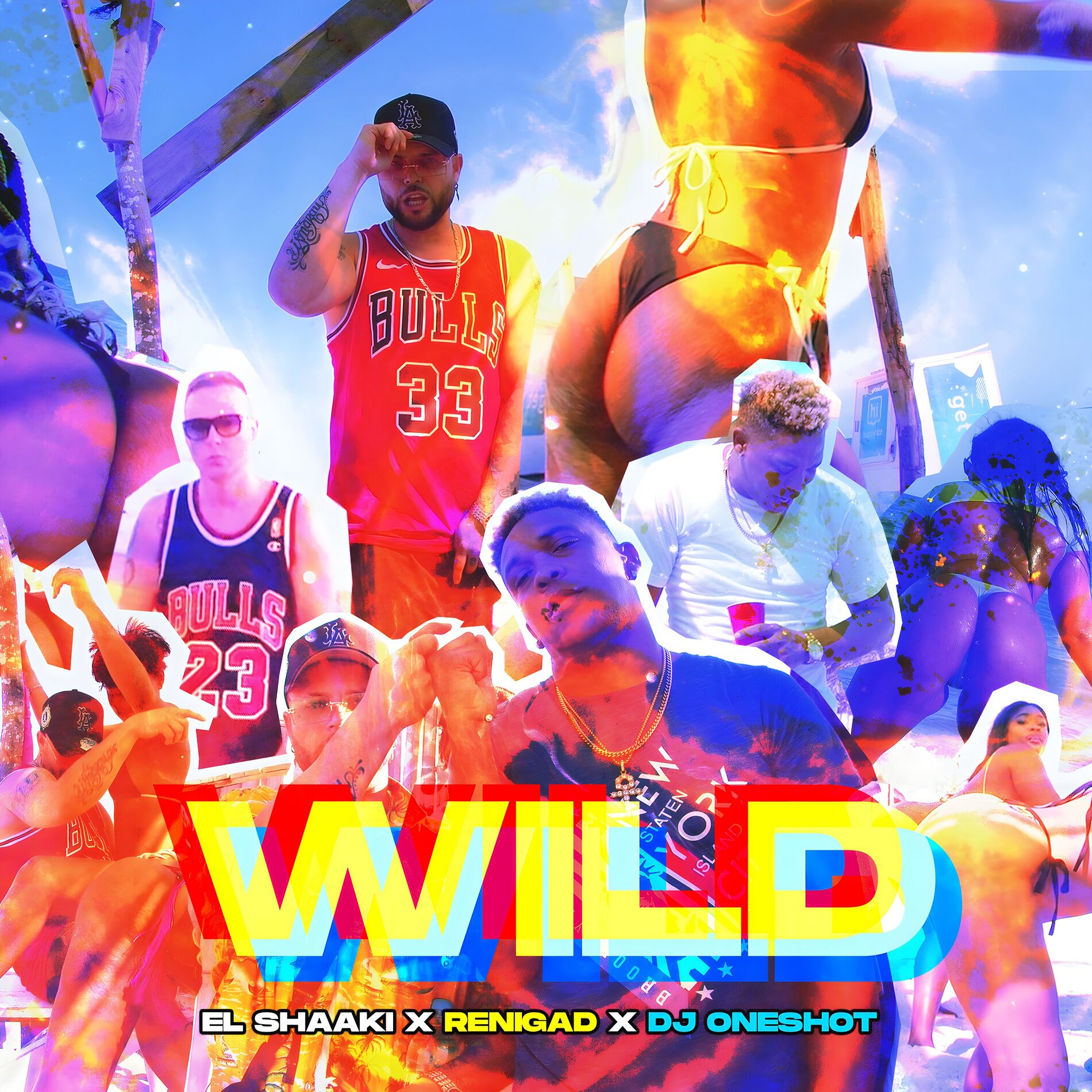 Album cover of Wild