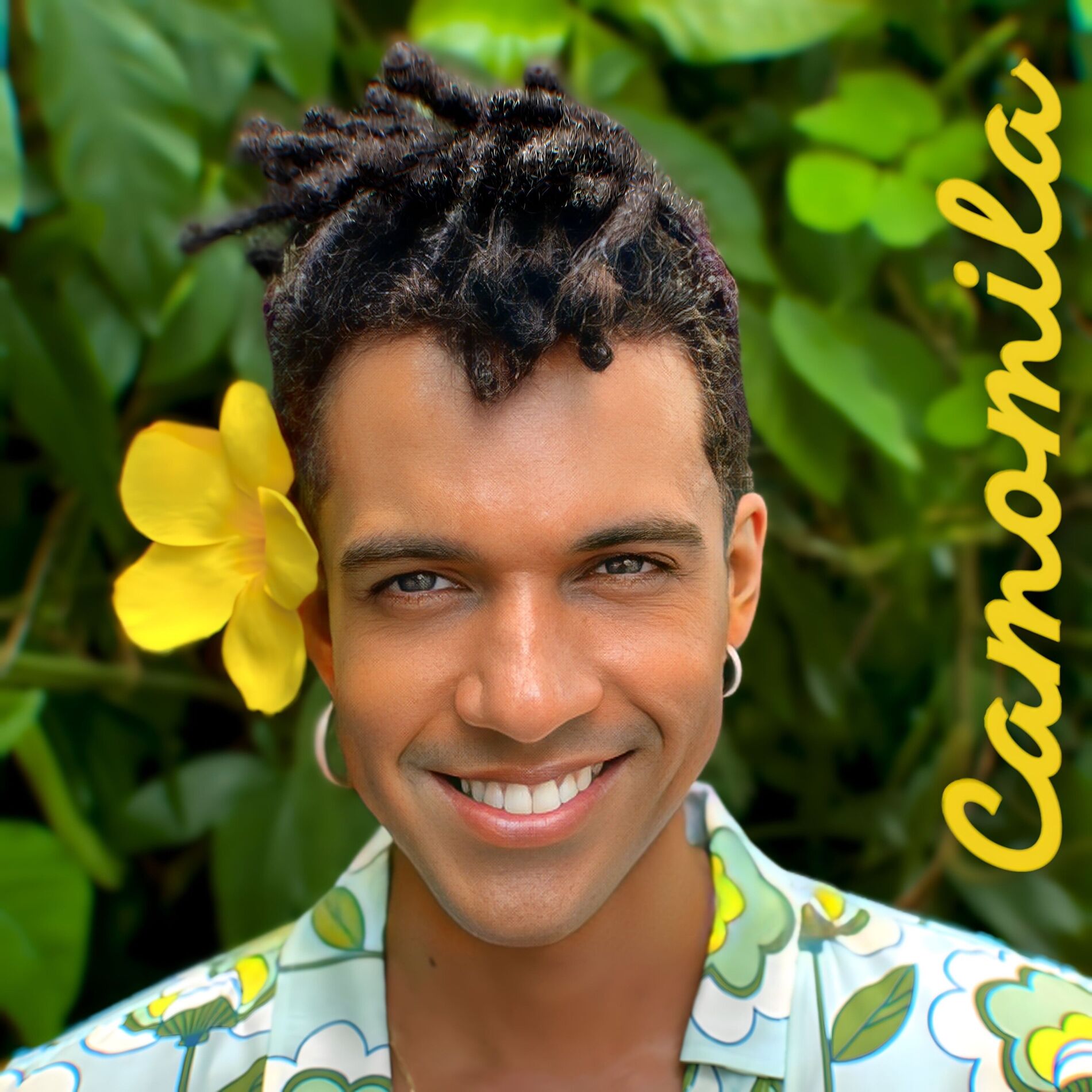 Album cover of Camomila