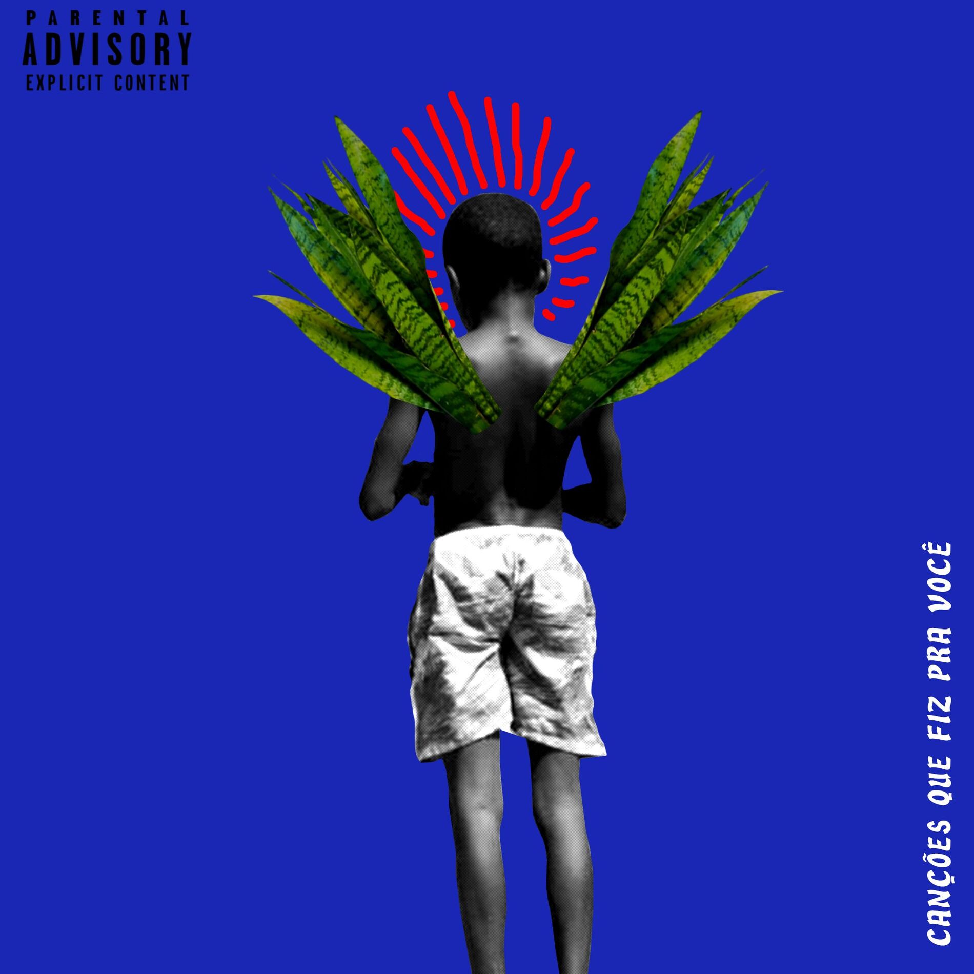 Album cover of Canções Que Fiz pra Você