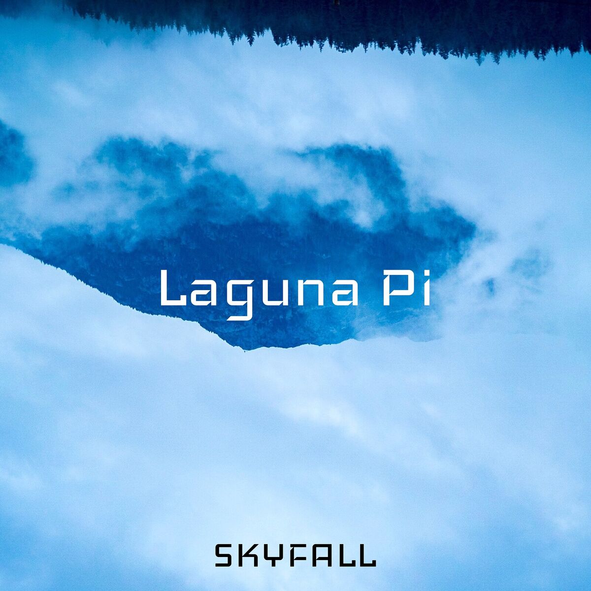 Album cover of Skyfall