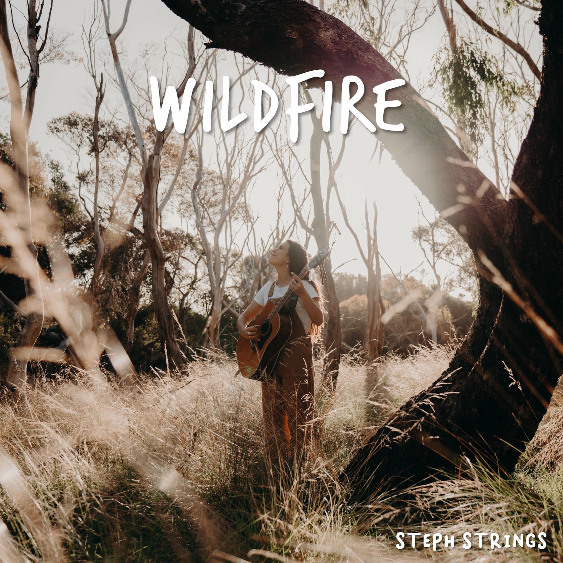 Album cover of Wildfire