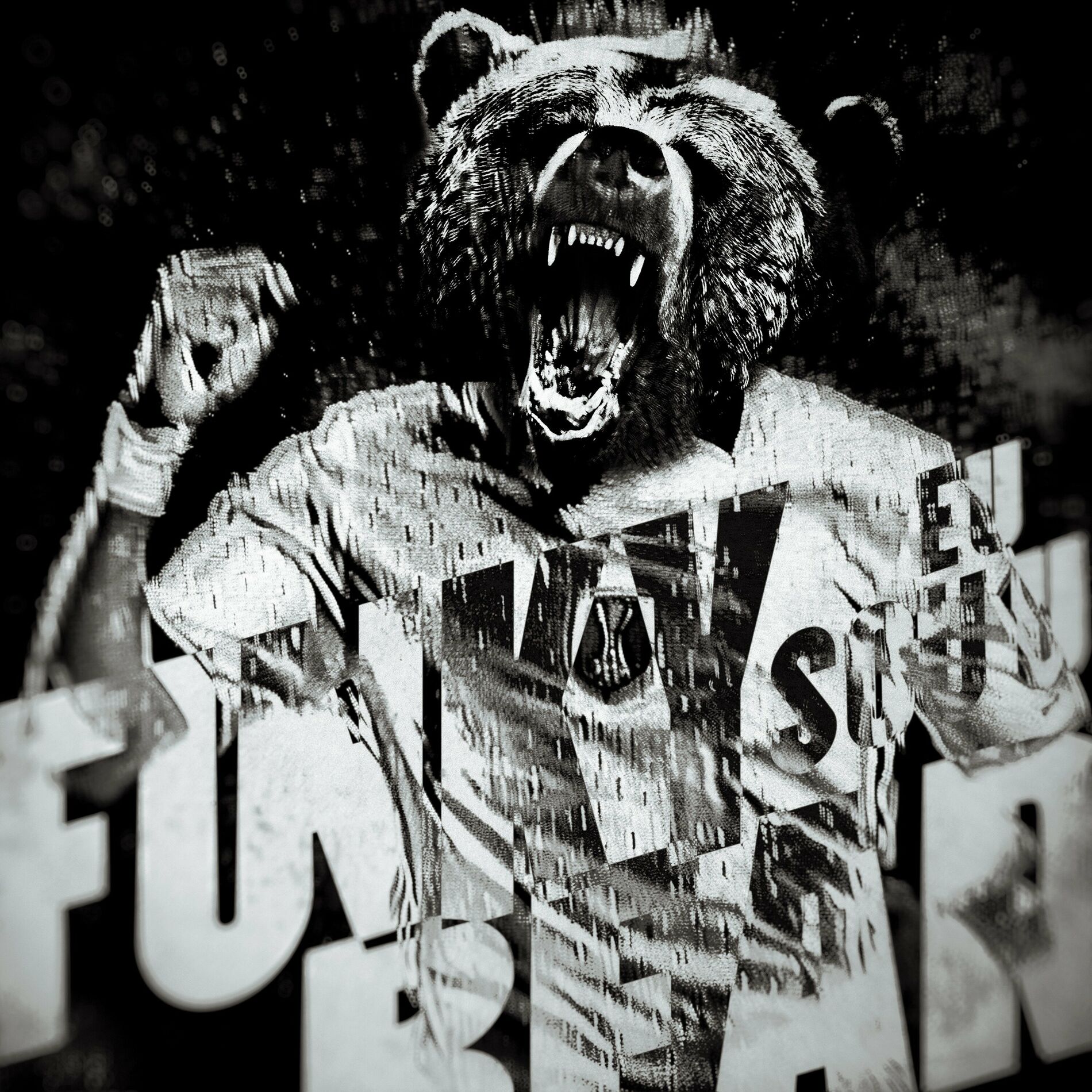 Album cover of EU SOU U FUNKY BEAR