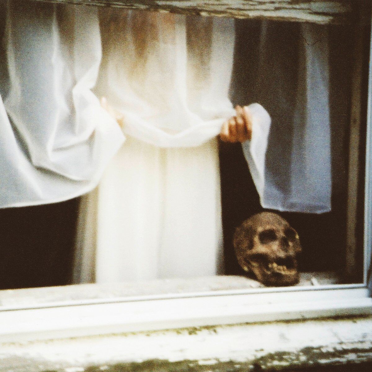 Album cover of Void Transcripts