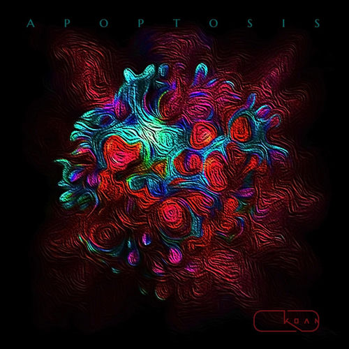 Apoptosis sleeve