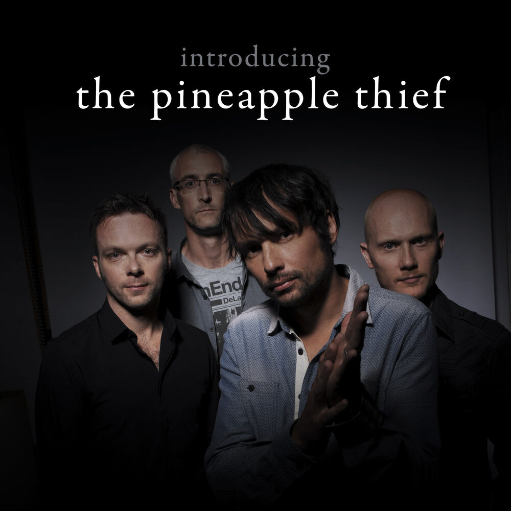 Picture of Introducing... The Pineapple Thief