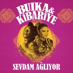 Cover of Sevdam Ağlıyor