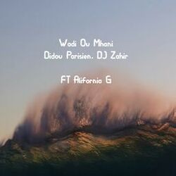 Cover of Wadi Ou Mhani