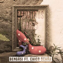 Cover of Zapatitos Caros
