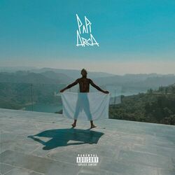 Cover of Papi Arca