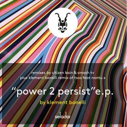 Cover of Power 2 Persist