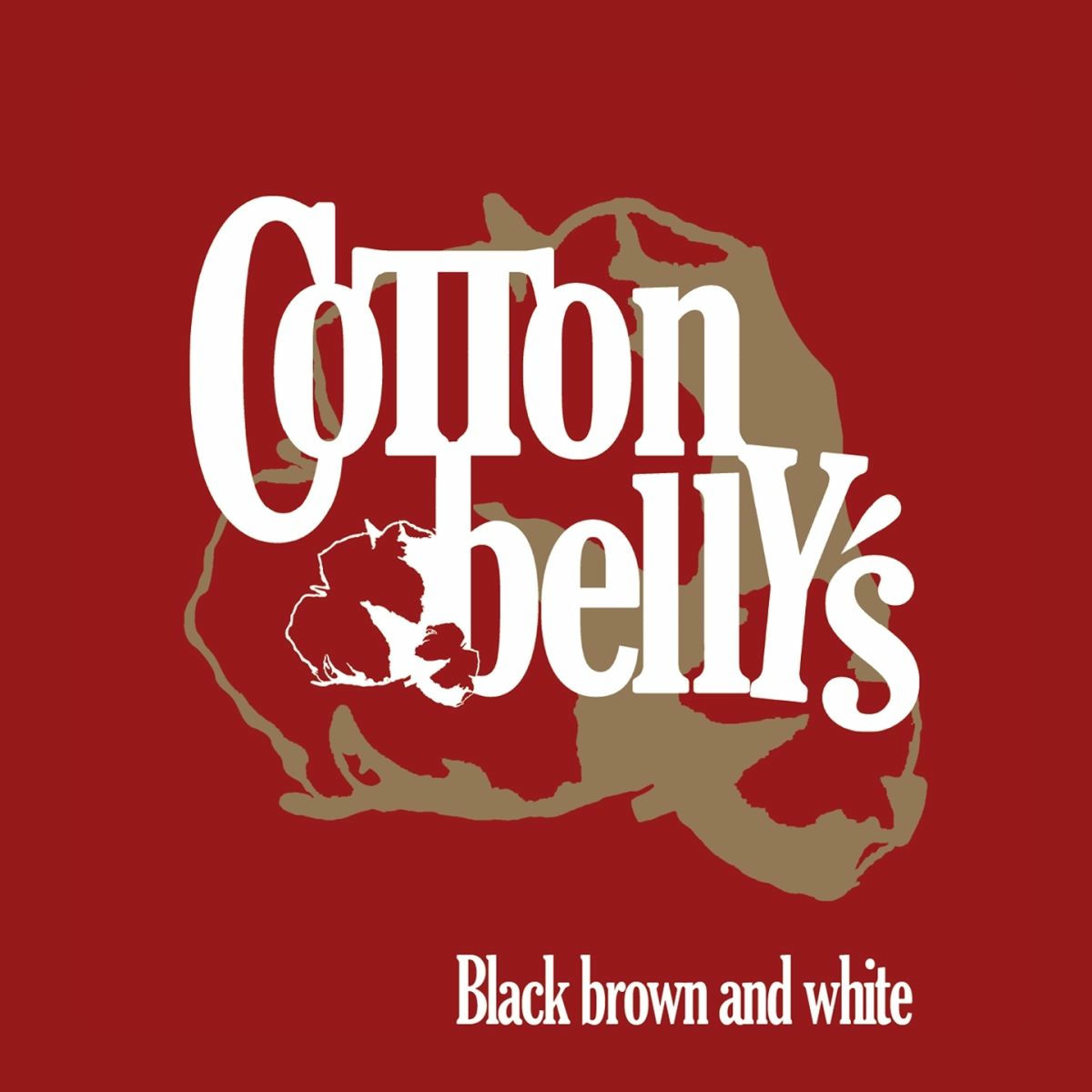 Album cover of Black Brown and White