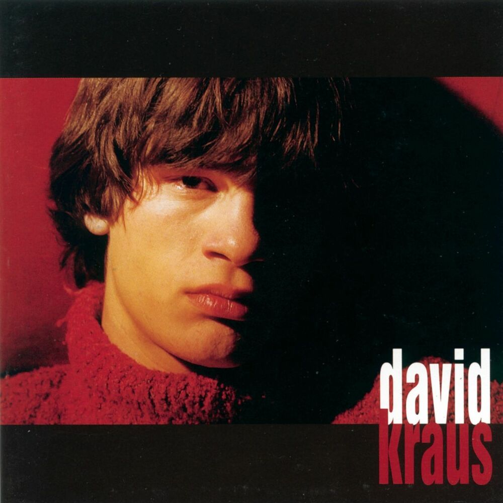 Picture of wwwdavidkraus.org