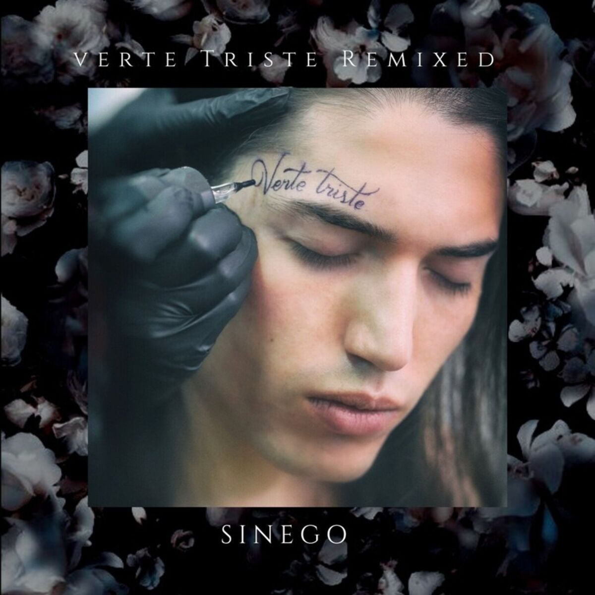 Album cover of Verte Triste (Remixed)