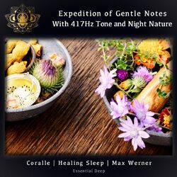 Expedition of Gentle Notes with 417Hz Tone and Night Nature