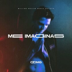 Cover of Me Imaginas