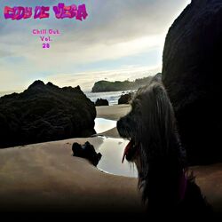 Cover of Chill Out Vol. 28