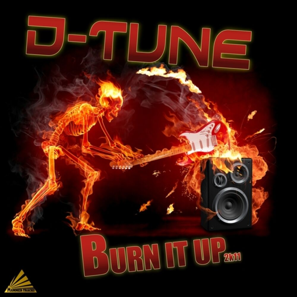 Picture of Burn It Up 2K11