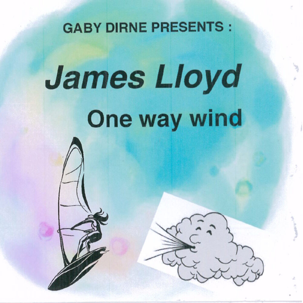 Picture of One Way Wind