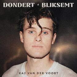 Cover of Dondert/Bliksemt