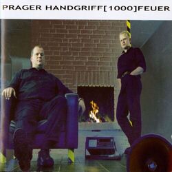 Cover of 1000 Feuer