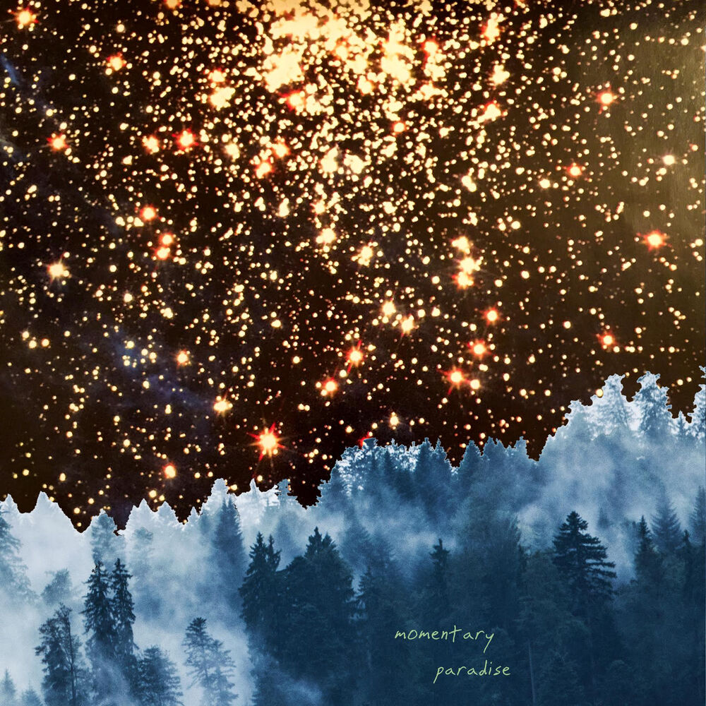 Picture of Momentary Paradise