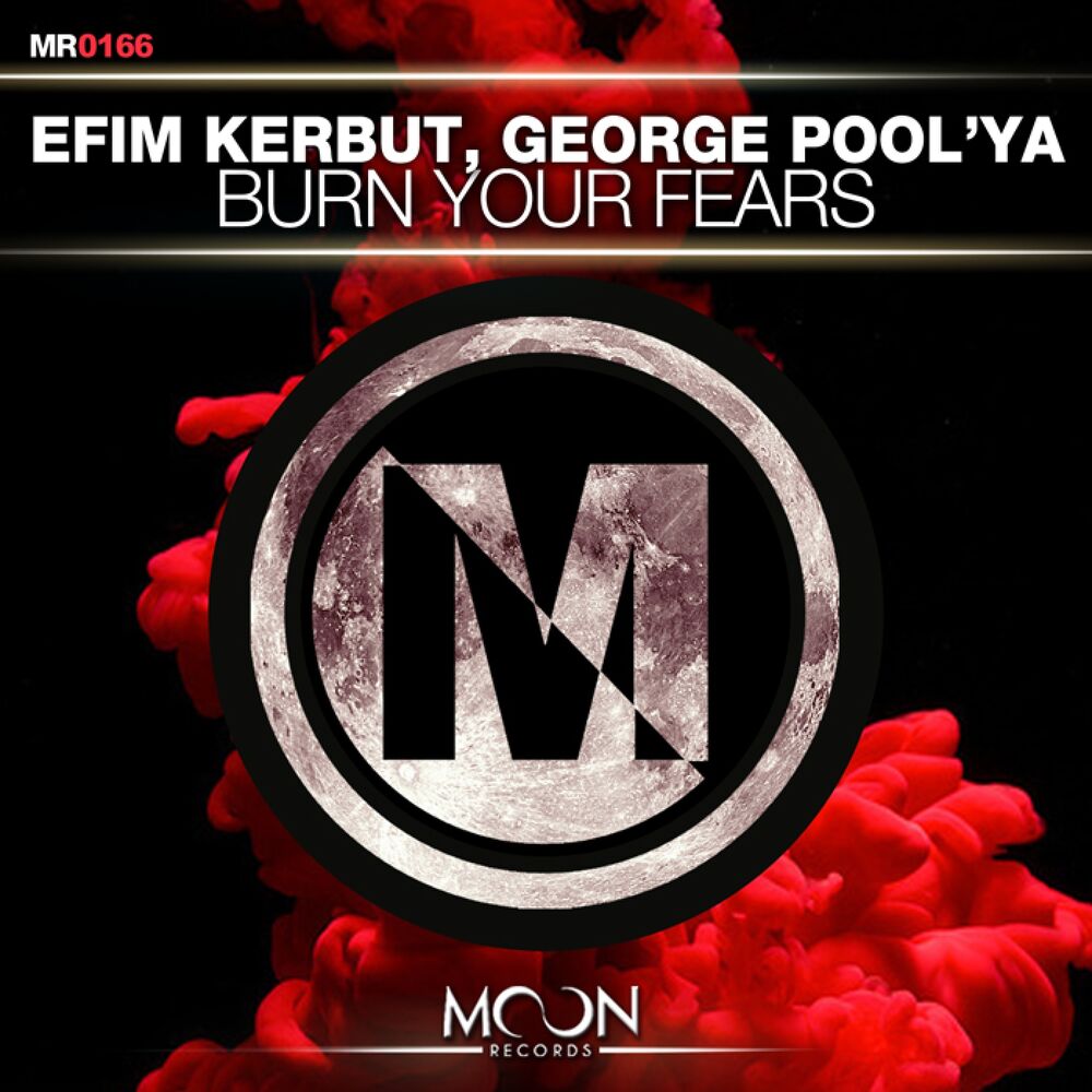 Picture of Burn Your Fears