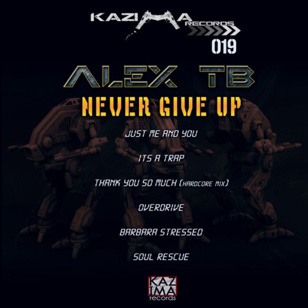 Picture of Never Give Up