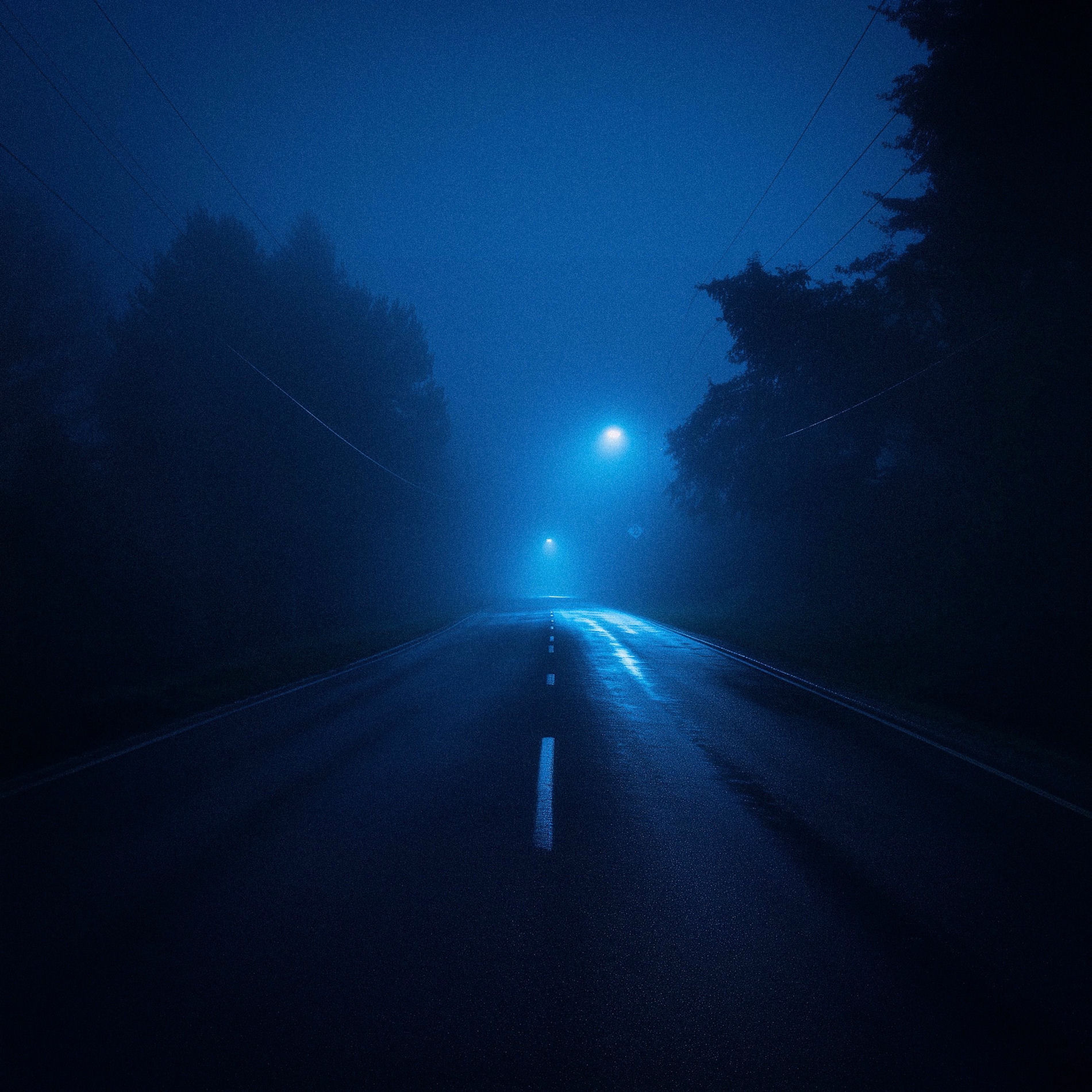 Album cover of let you go