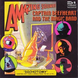 Cover of Dichotomy