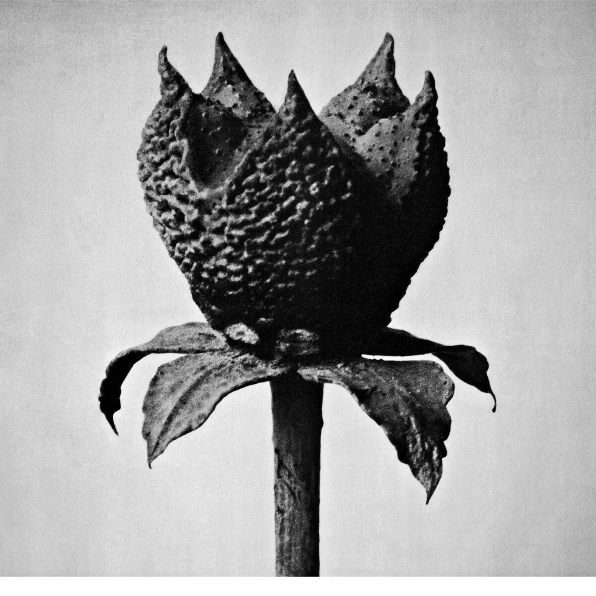 Album cover of Book of Life