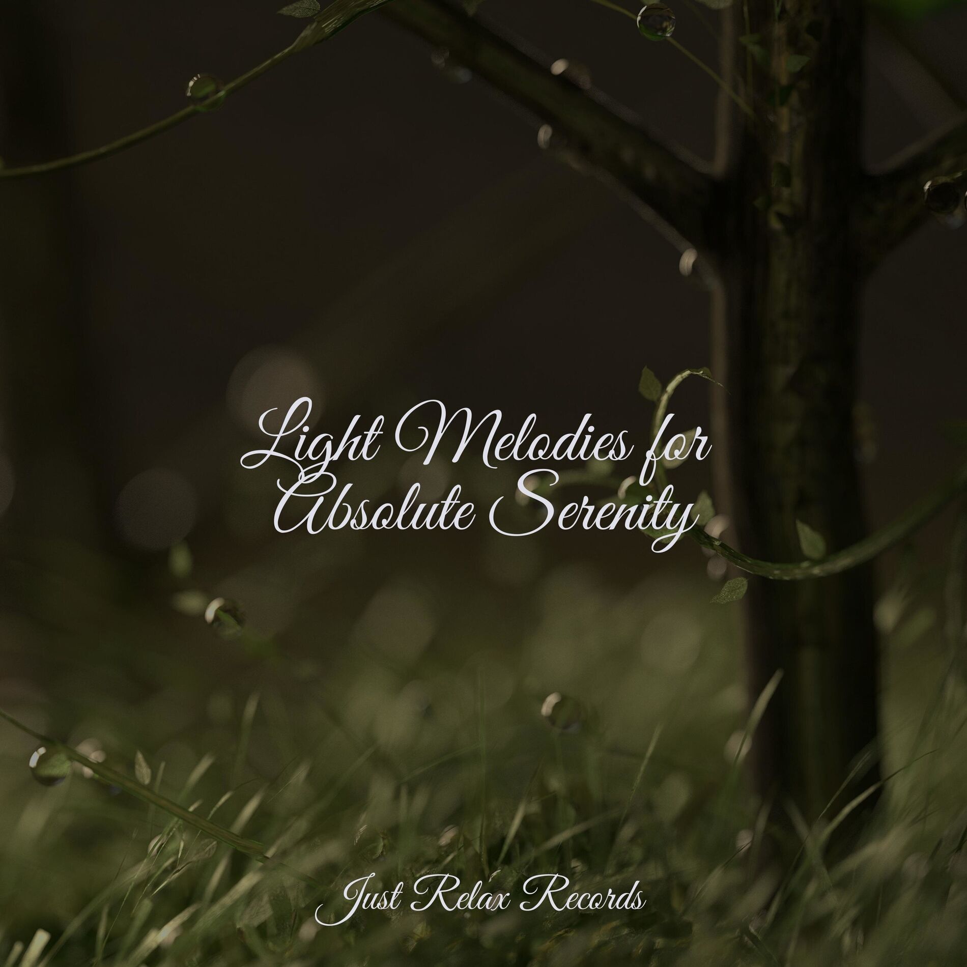 Album cover of Light Melodies for Absolute Serenity