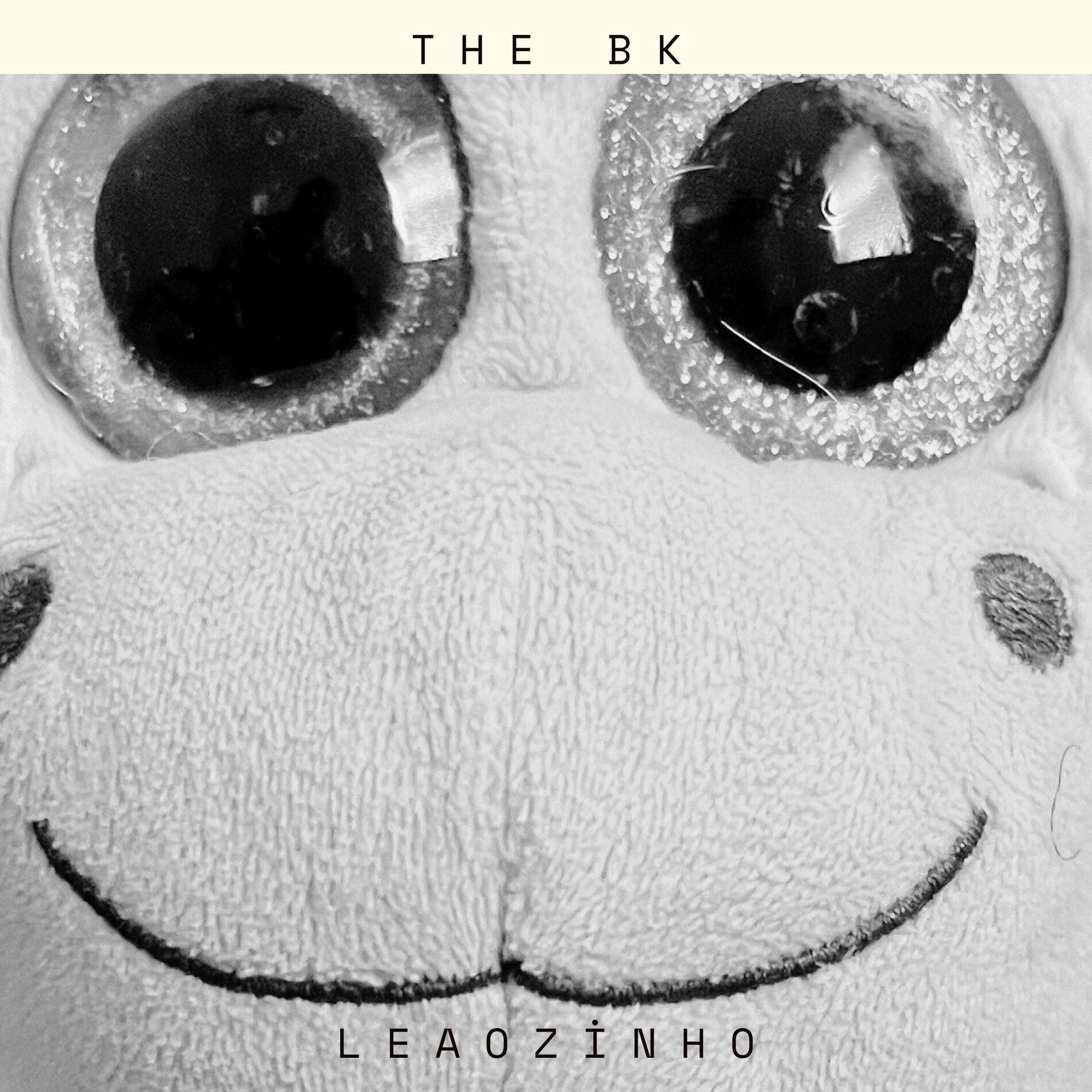Album cover of Leaozinho