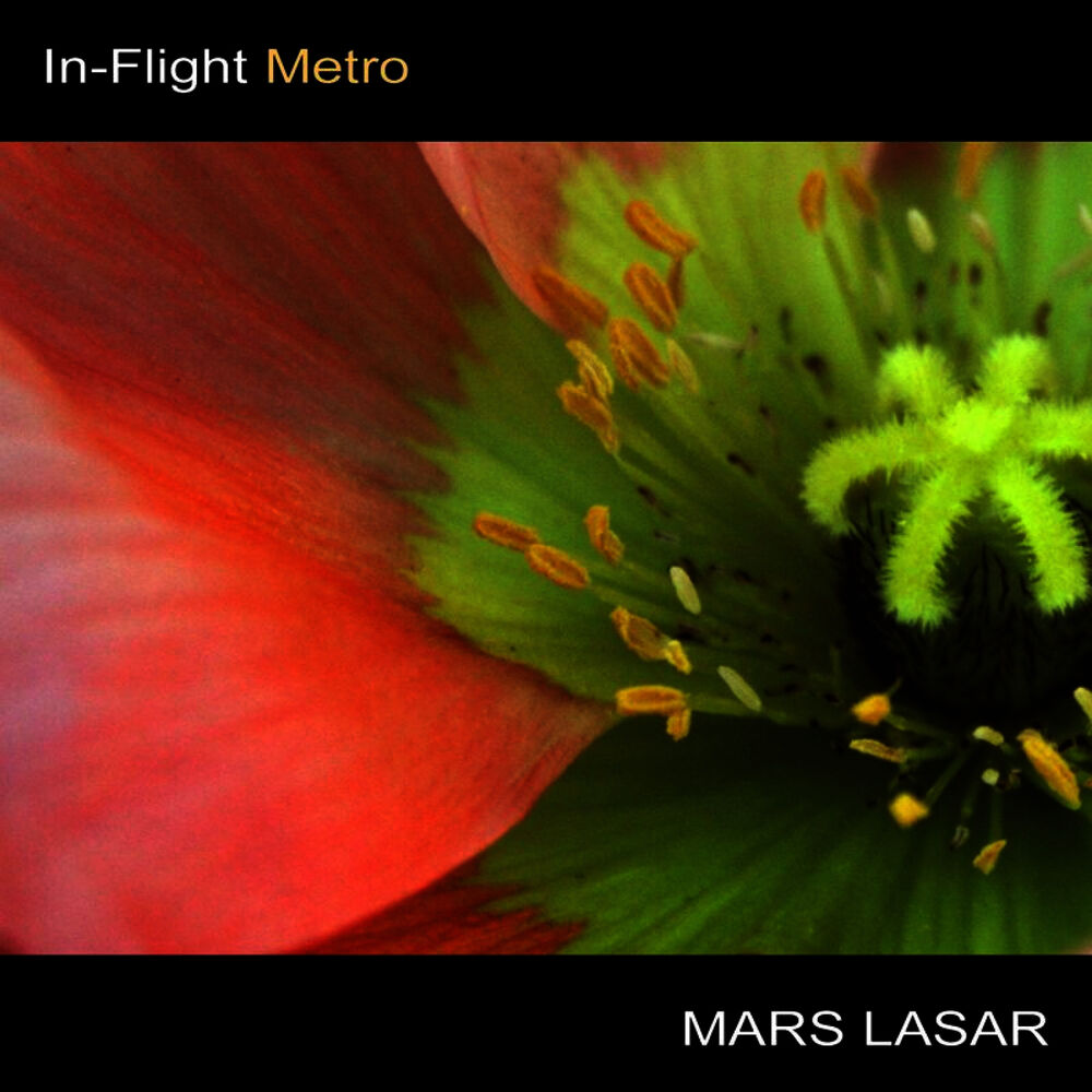 Picture of In-Flight Metro