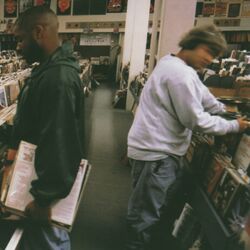 Cover of Endtroducing.....