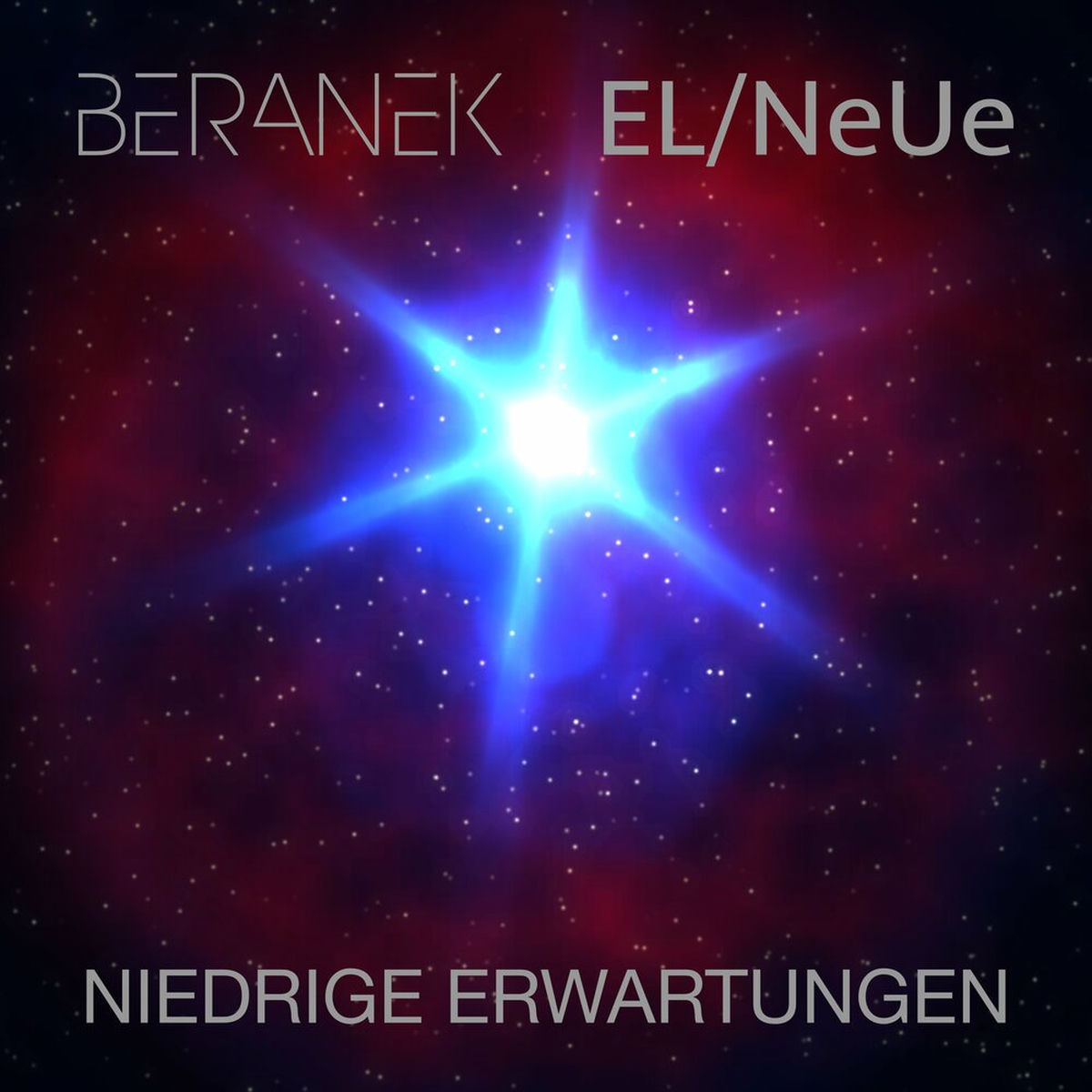 Album cover of Niedrige Erwartungen