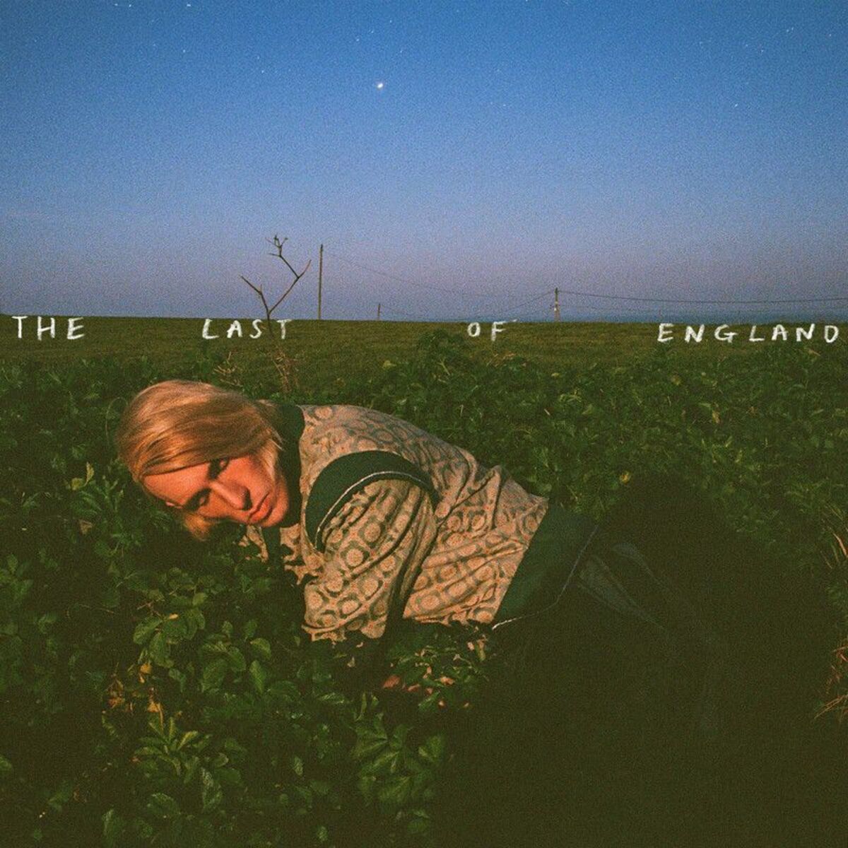 Album cover of The Last of England