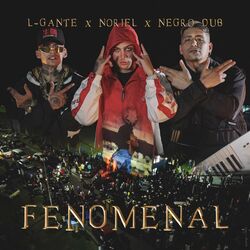Cover of Fenomenal